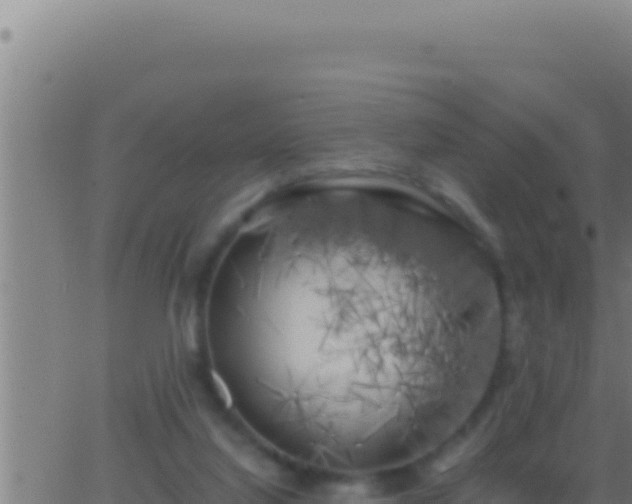 X0000062920068200601202012