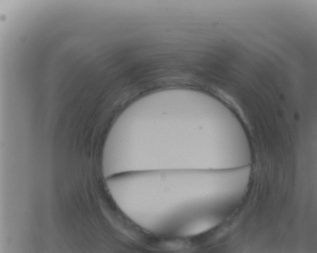 X0000062920069200601202012