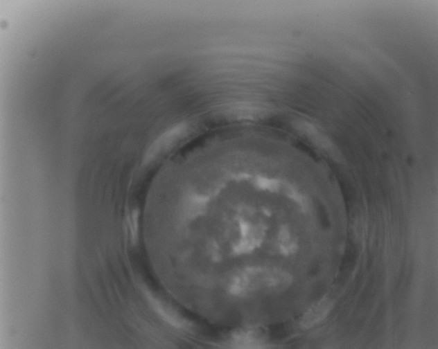 X0000062920070200601202012