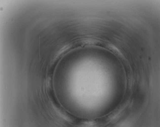 X0000062920071200601202012