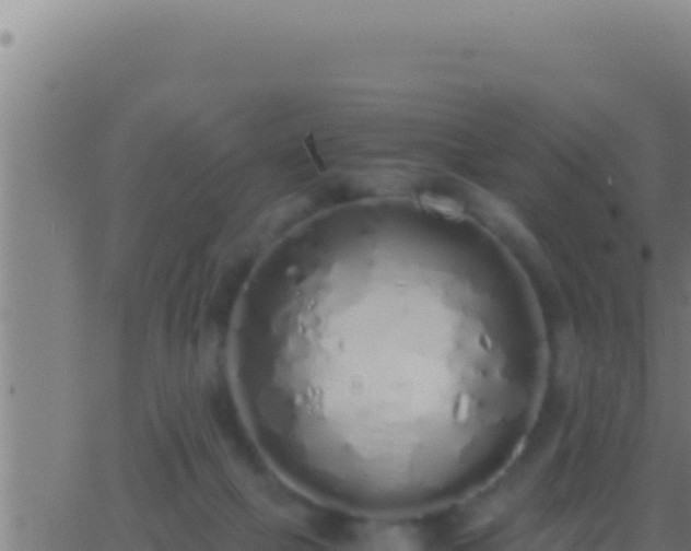 X0000062920073200601202012