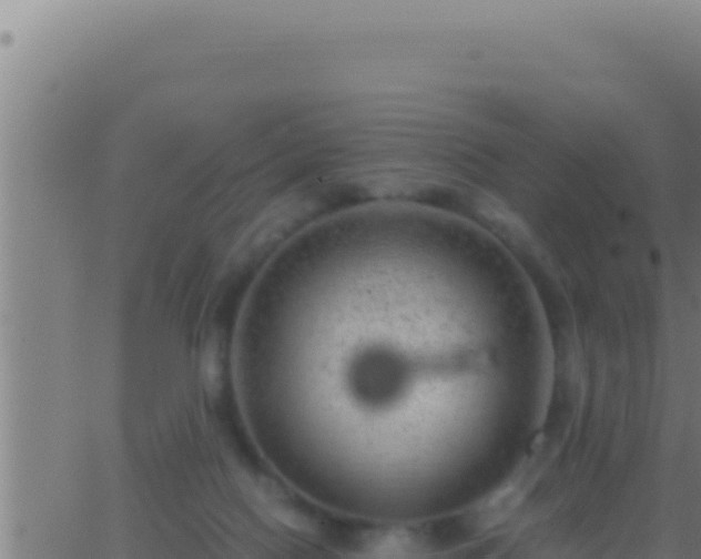 X0000062920074200601202012