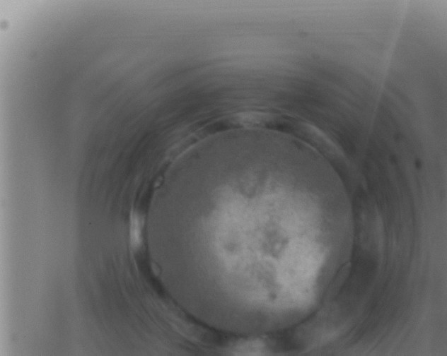 X0000062920075200601202012