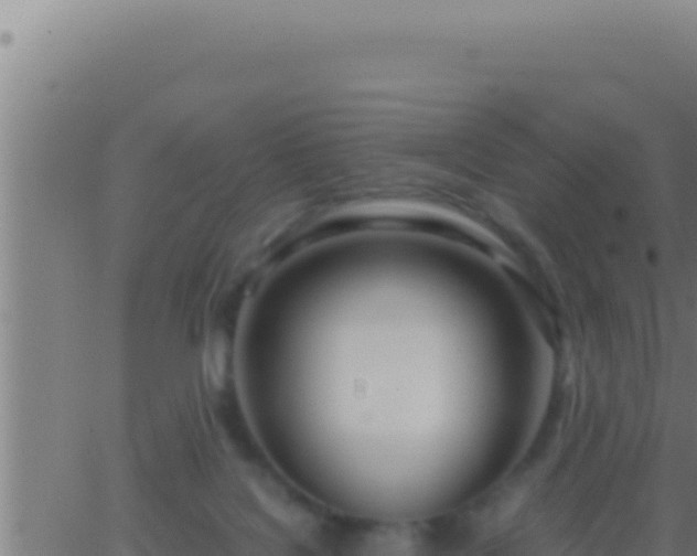 X0000062920076200601202012