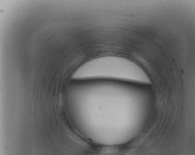 X0000062920077200601202012