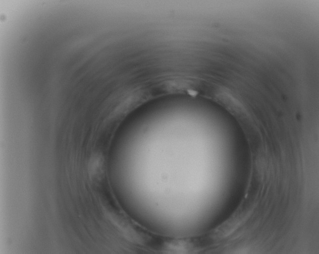 X0000062920079200601202012