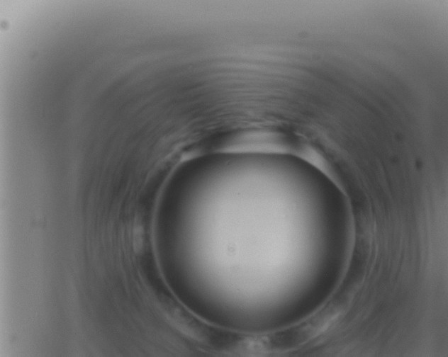 X0000062920080200601202012