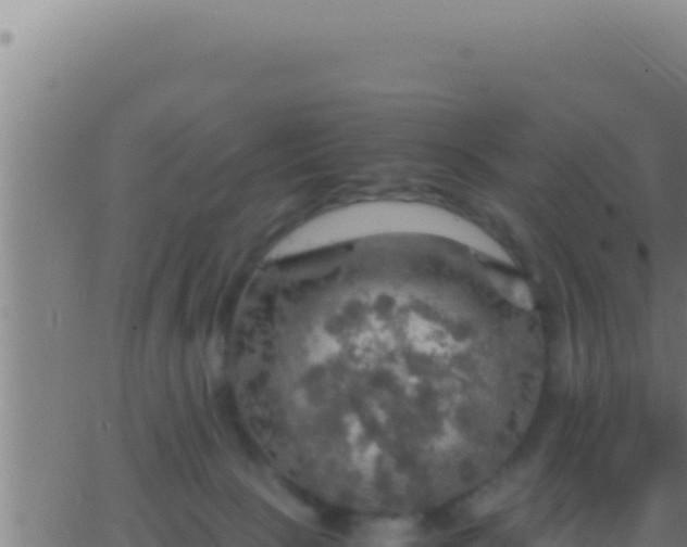 X0000062920081200601202012