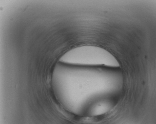 X0000062920082200601202012