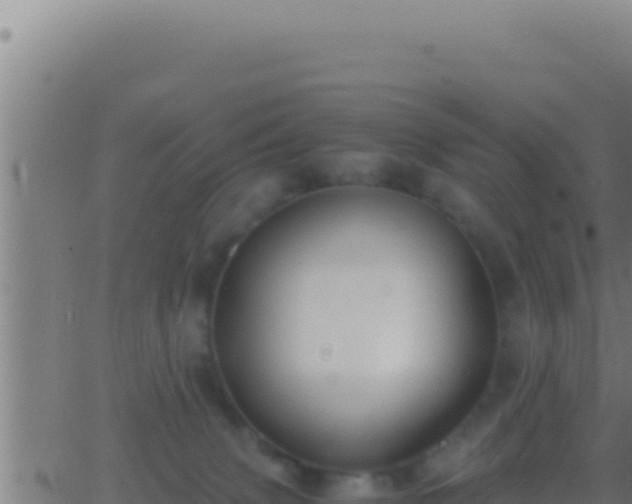 X0000062920083200601202012