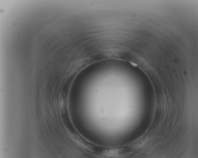 X0000062920084200601202012