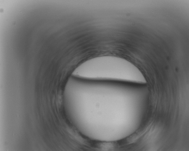 X0000062920085200601202012