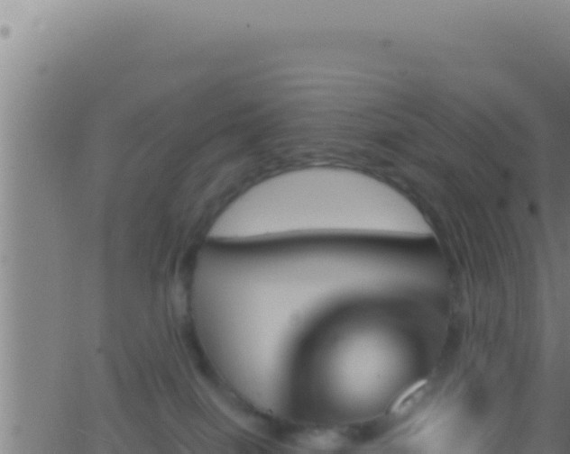 X0000062920086200601202012