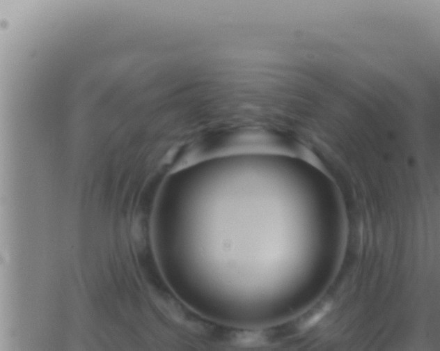 X0000062920088200601202012