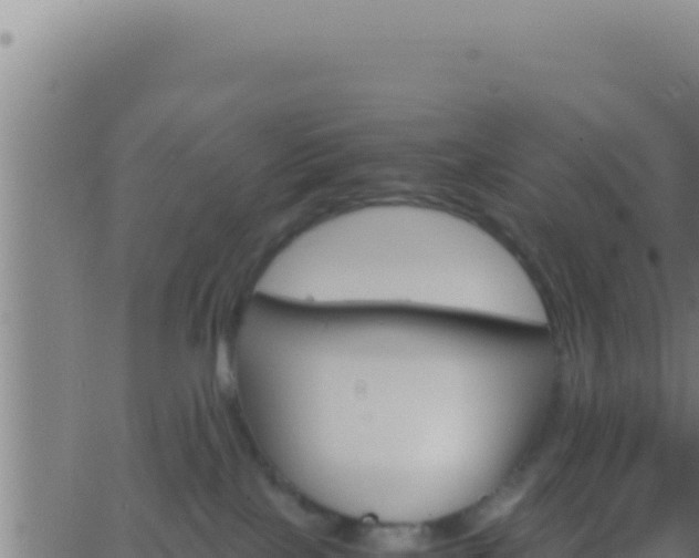 X0000062920089200601202012