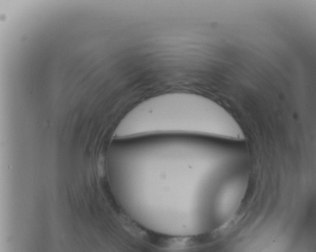 X0000062920090200601202012