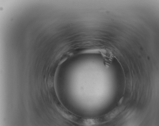 X0000062920091200601202012