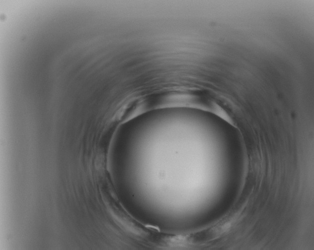 X0000062920092200601202012