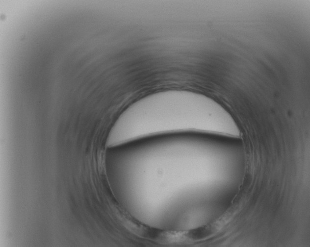 X0000062920093200601202012