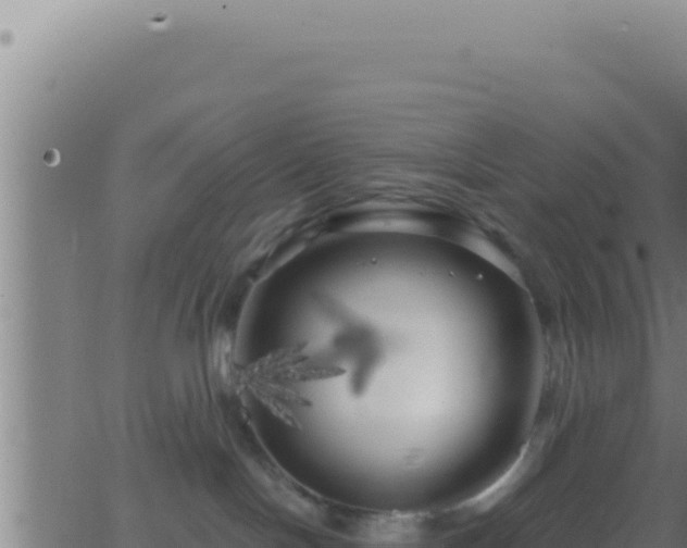 X0000062920094200601202012