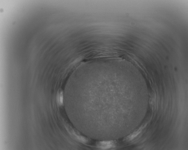 X0000062920095200601202012