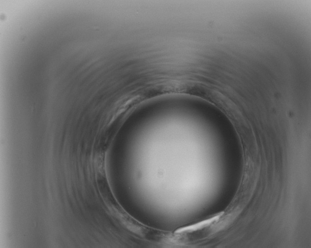 X0000062920096200601202012