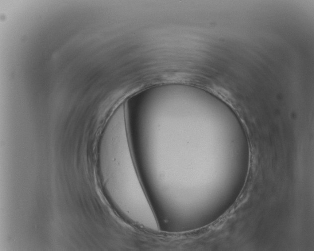 X0000062920097200601202012