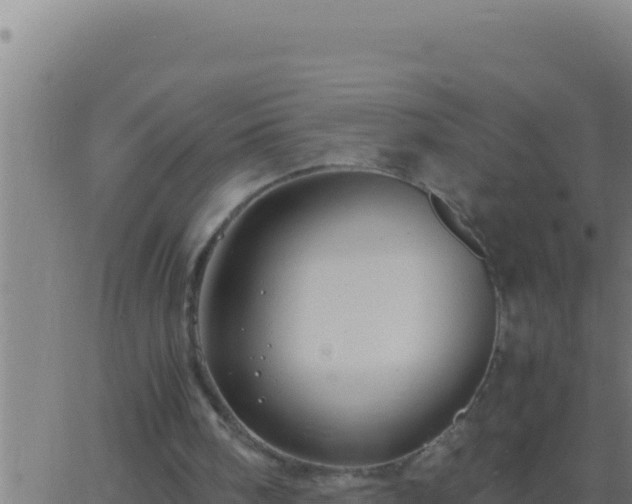 X0000062920098200601202012