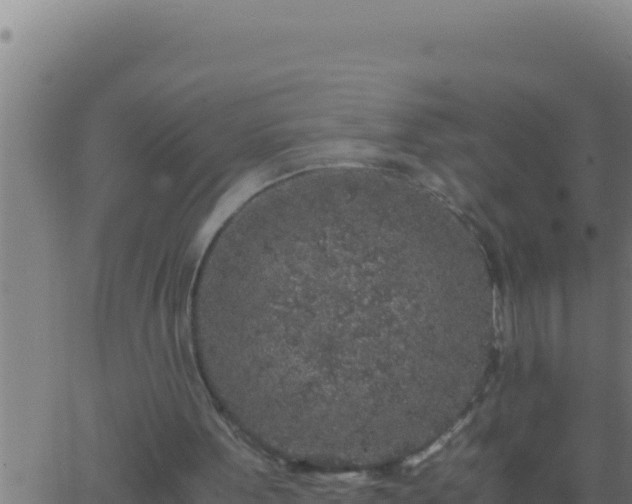 X0000062920099200601202012