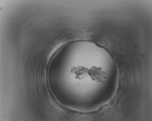 X0000062920100200601202012