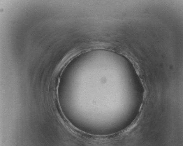 X0000062920101200601202012