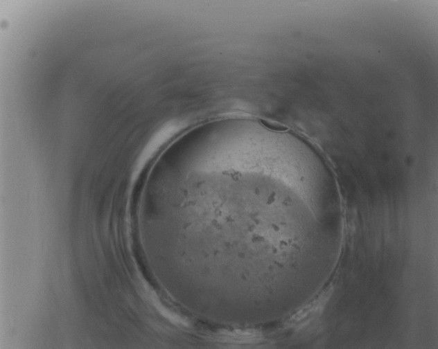 X0000062920102200601202012