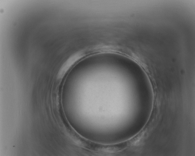 X0000062920103200601202011