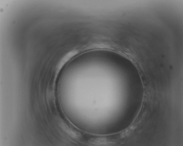 X0000062920104200601202011