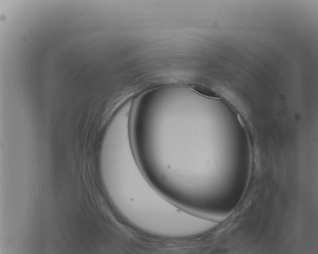 X0000062920105200601202011