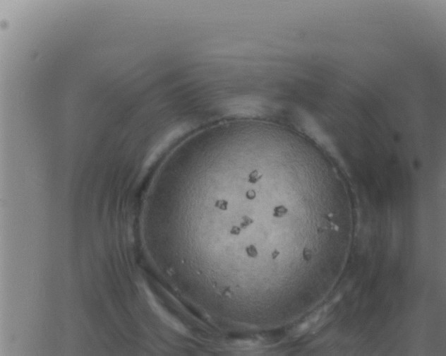 X0000062920106200601202011