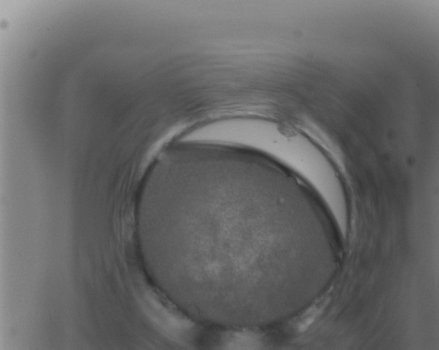 X0000062920107200601202011