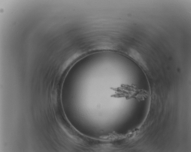 X0000062920108200601202011