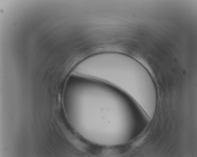 X0000062920109200601202011