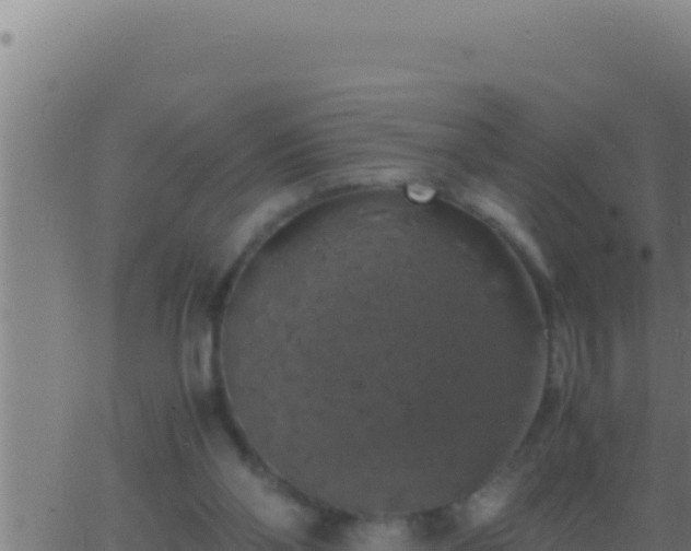 X0000062920110200601202011