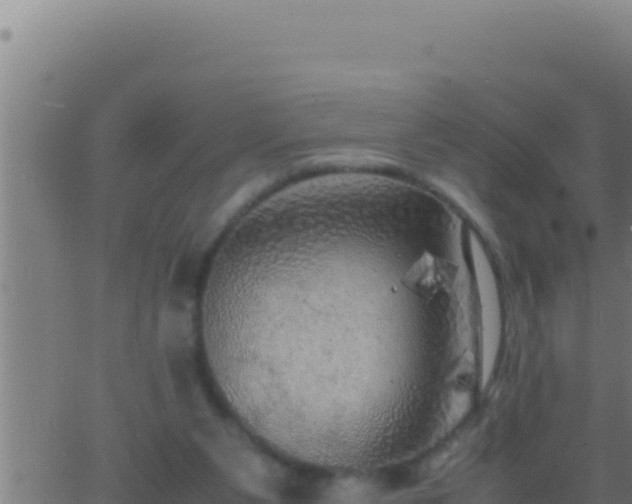 X0000062920111200601202011