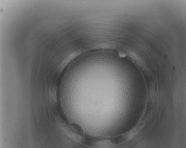 X0000062920112200601202011