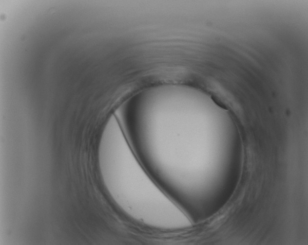 X0000062920113200601202011