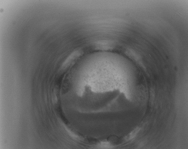 X0000062920114200601202011