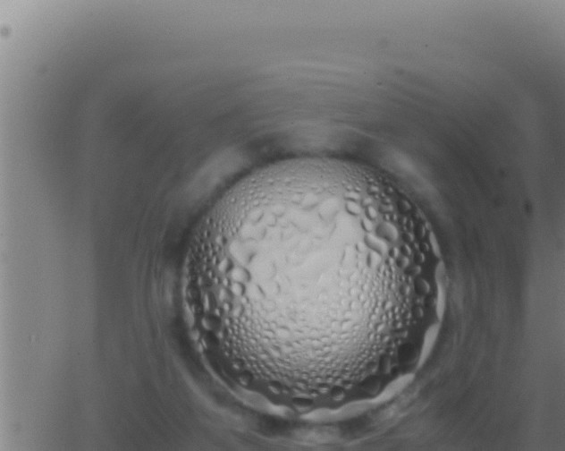 X0000062920115200601202011