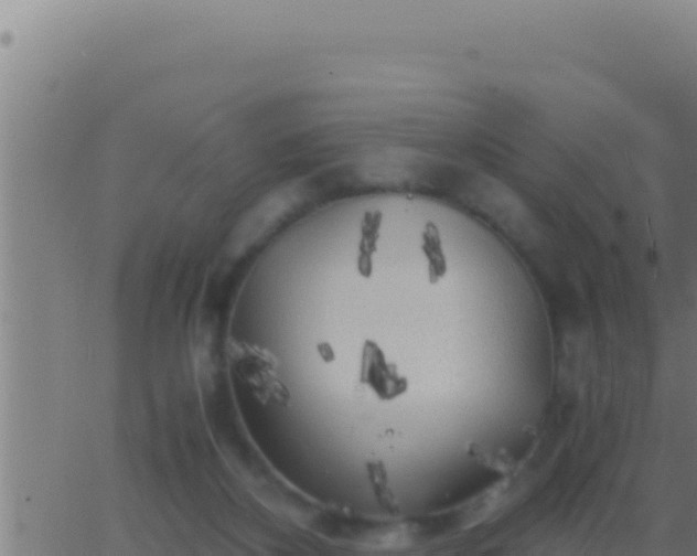 X0000062920116200601202011