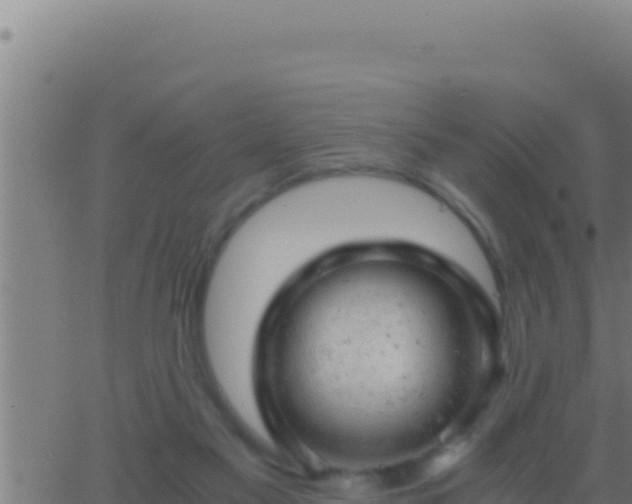 X0000062920117200601202011