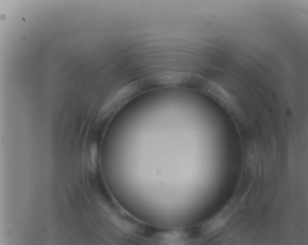 X0000062920118200601202011