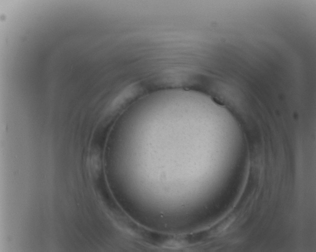 X0000062920119200601202011