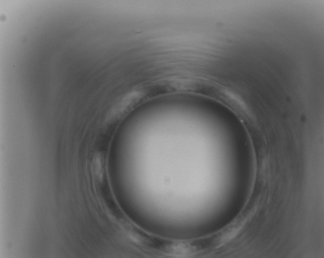 X0000062920121200601202011